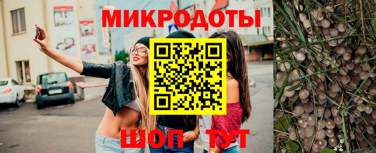 купить   Галлюциногенные грибы GOLDEN TEACHER  Псилоцибиновые грибы Psilocybine cubensis  Вход с VPN  Карабулак 
