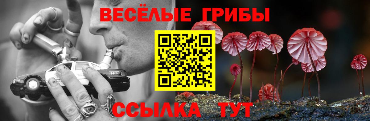 Галлюциногенные грибы мухоморы Карабулак